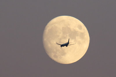 Lunar Landing