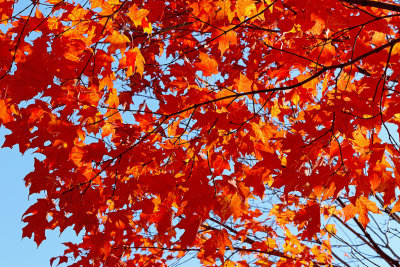 October Light