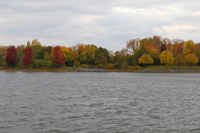 Fall Along the Shore