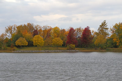 Lake Color