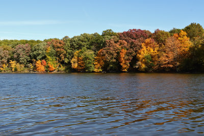 Fox River Fall