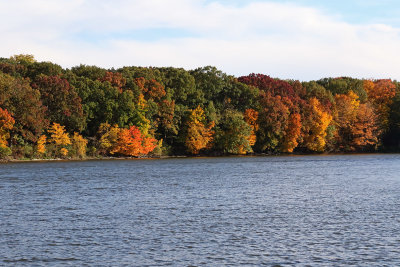 Flowing by Fall