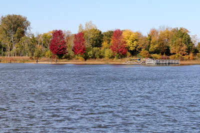 Fall at Pickerel