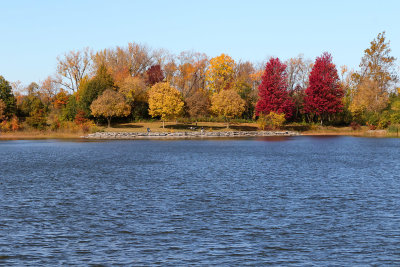 Fine Fall Day