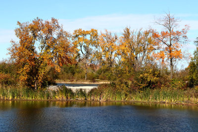 Peak at the Pond