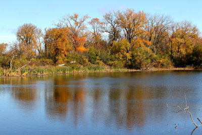 Autumn Tranquility