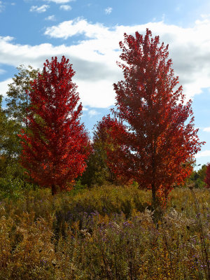 Two for Fall