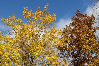 Two Tones