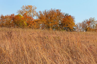 Fall on the Edge