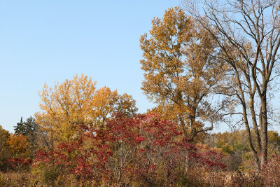 Fall All Over