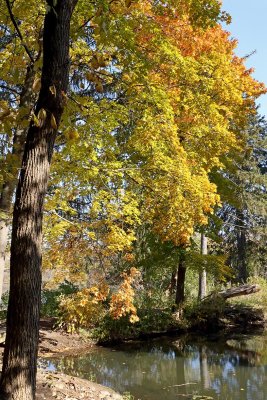 Fall at Spring Valley
