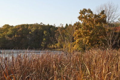 Autumn Pond