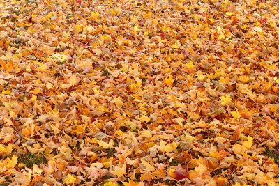 Fall on the Floor