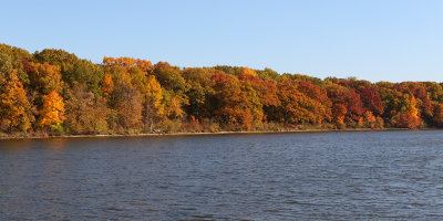 Fall Flow