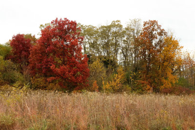All Autumn