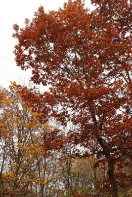 October Peak