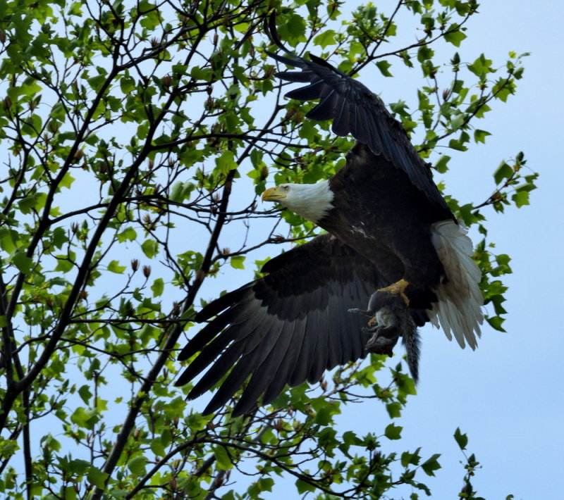 D51_7354.jpg