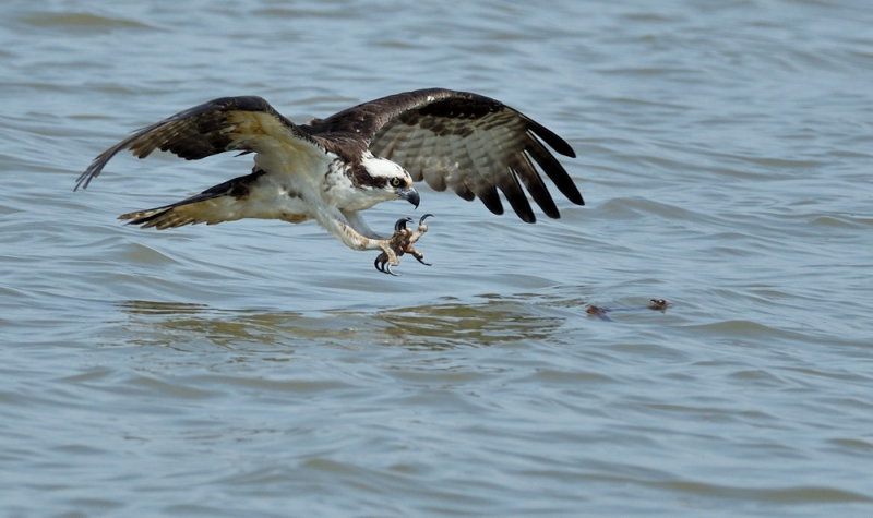 D51_8106.jpg