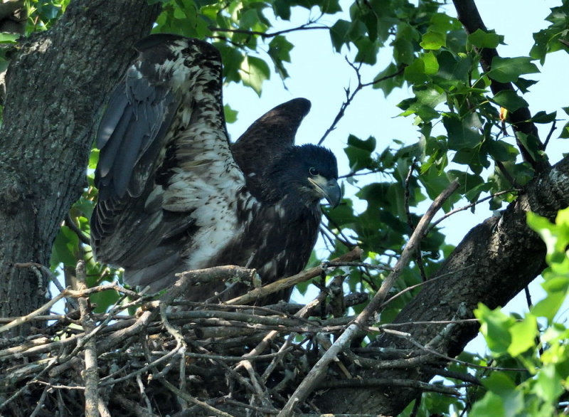 D51_8588.jpg