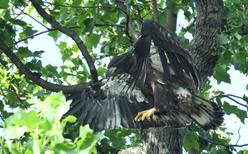 D51_9022.jpg