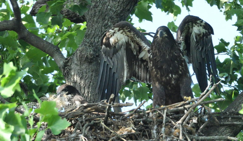 D51_9050.jpg