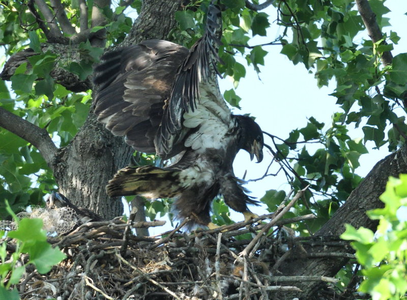 D51_9064.jpg