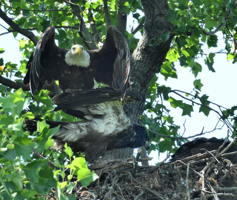 D51_9280.jpg
