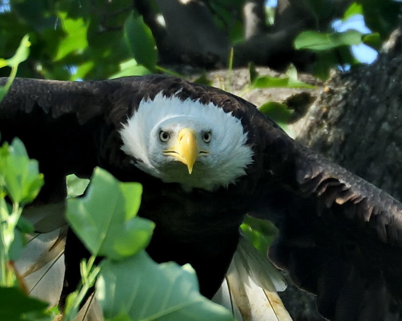 D51_9860.jpg
