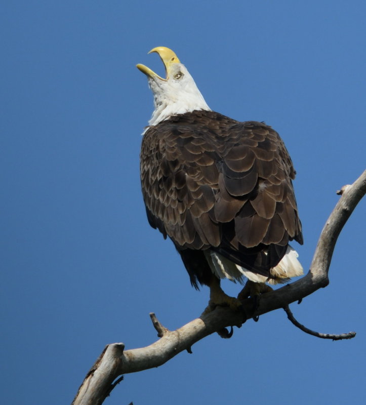 D51_9989.jpg