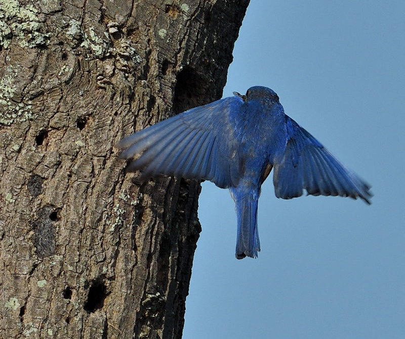 D52_2066.jpg