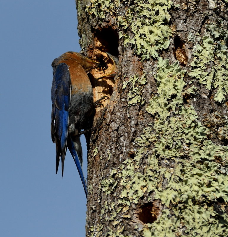 D52_5025.jpg