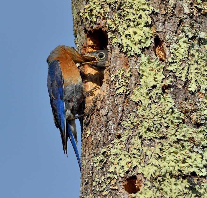 D52_5027.jpg