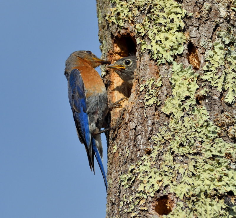 D52_5028.jpg