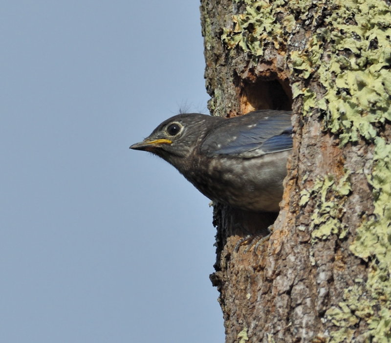 D52_5228.jpg