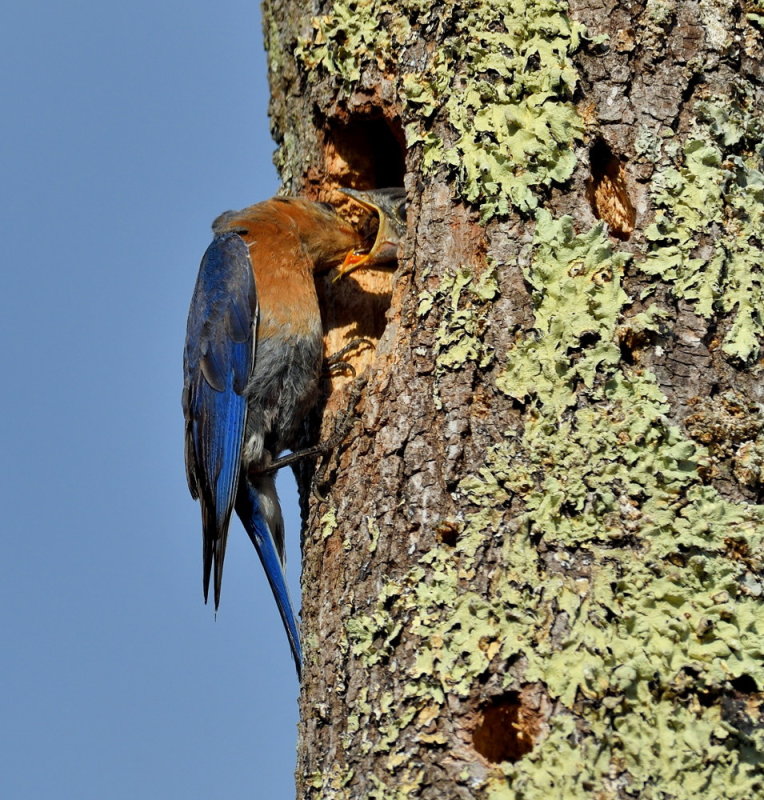 D52_5026.jpg