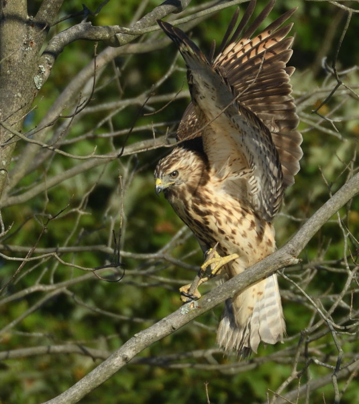 D52_5627.jpg