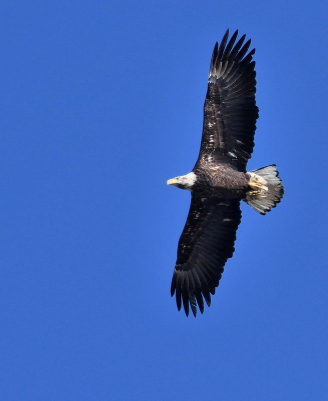 D52_1281.jpg
