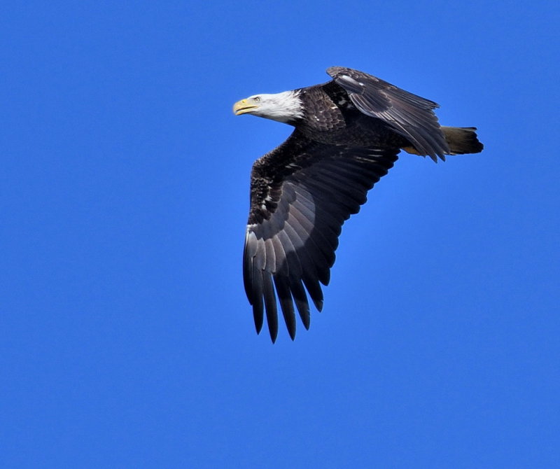 D52_1291.jpg