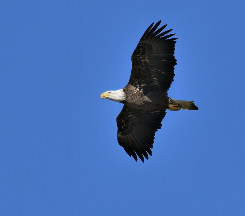 D52_1296.jpg