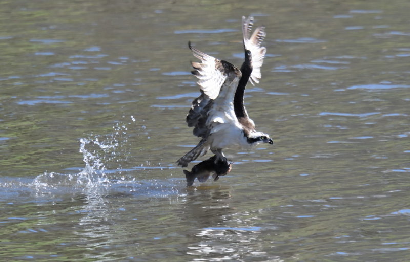 D54_3646.jpg