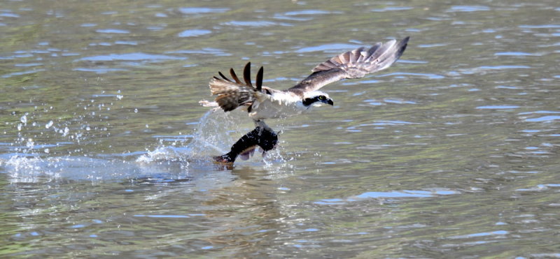 D54_3647.jpg