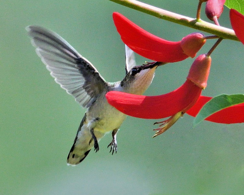 D54_9098.jpg