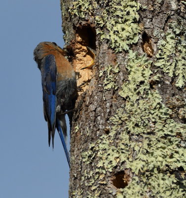 D52_5024.jpg