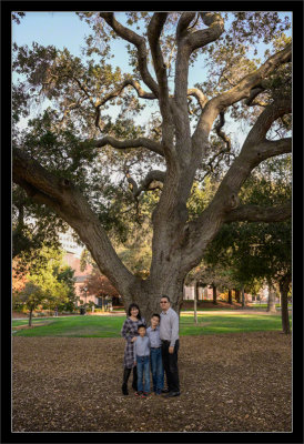 Wong Family & Oak Tree