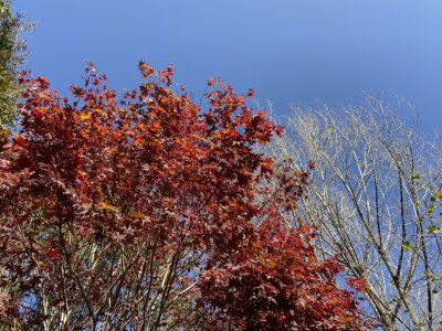 g12/90/360890/3/170283832.4XXYLbJq.jpg