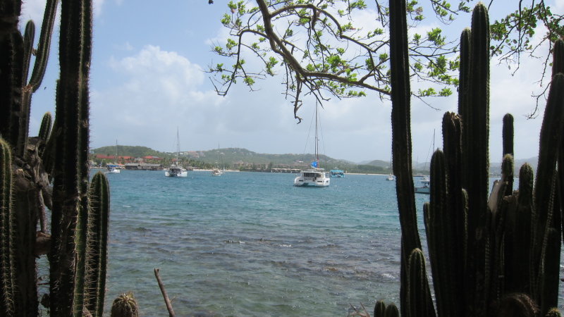 IMG_8717.JPG