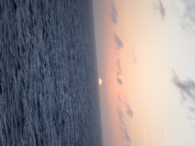 S0180068 - Copy.JPG