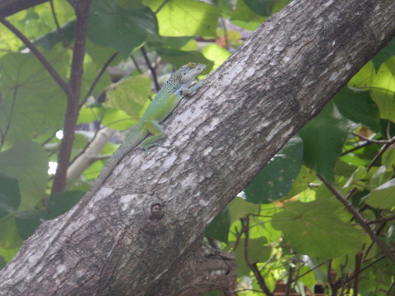 S0212024 - Copy.JPG