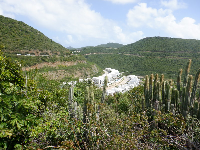 S0251025 - Copy.JPG