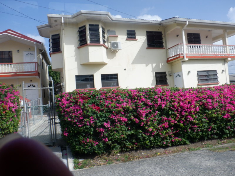S0432049 - Copy.JPG